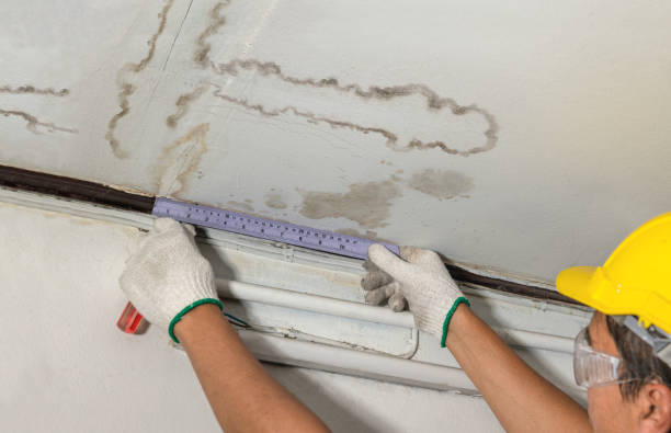 Reliable Water Damage contractor in Northport, WA by Water Damage Irwin